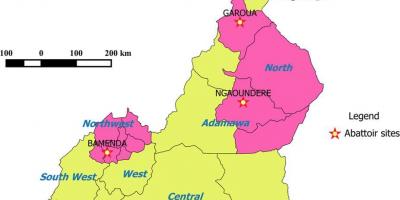 Показујући региона Камеруна мапи